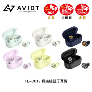 AVIOT TE-D01v 真無線藍牙耳機